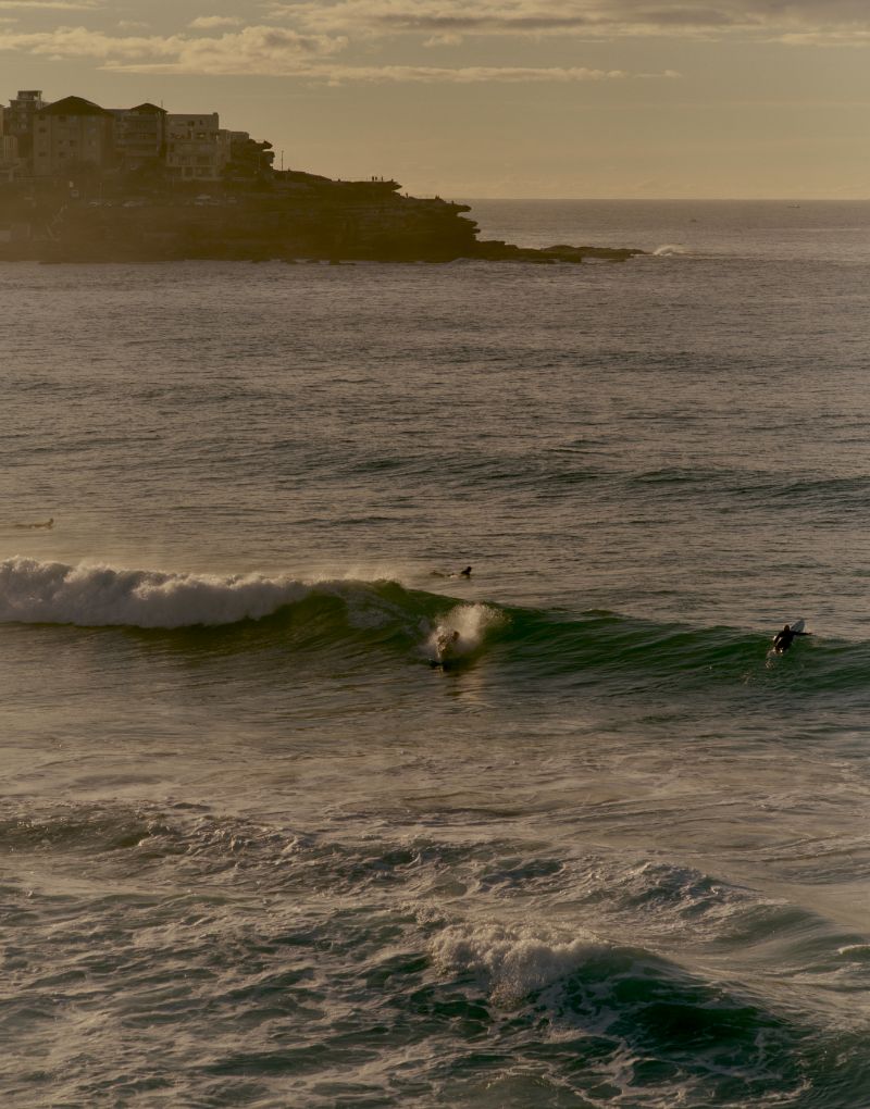 Avra_BondiBeach_FullWidth_Desktop_Beach_800x1020_2