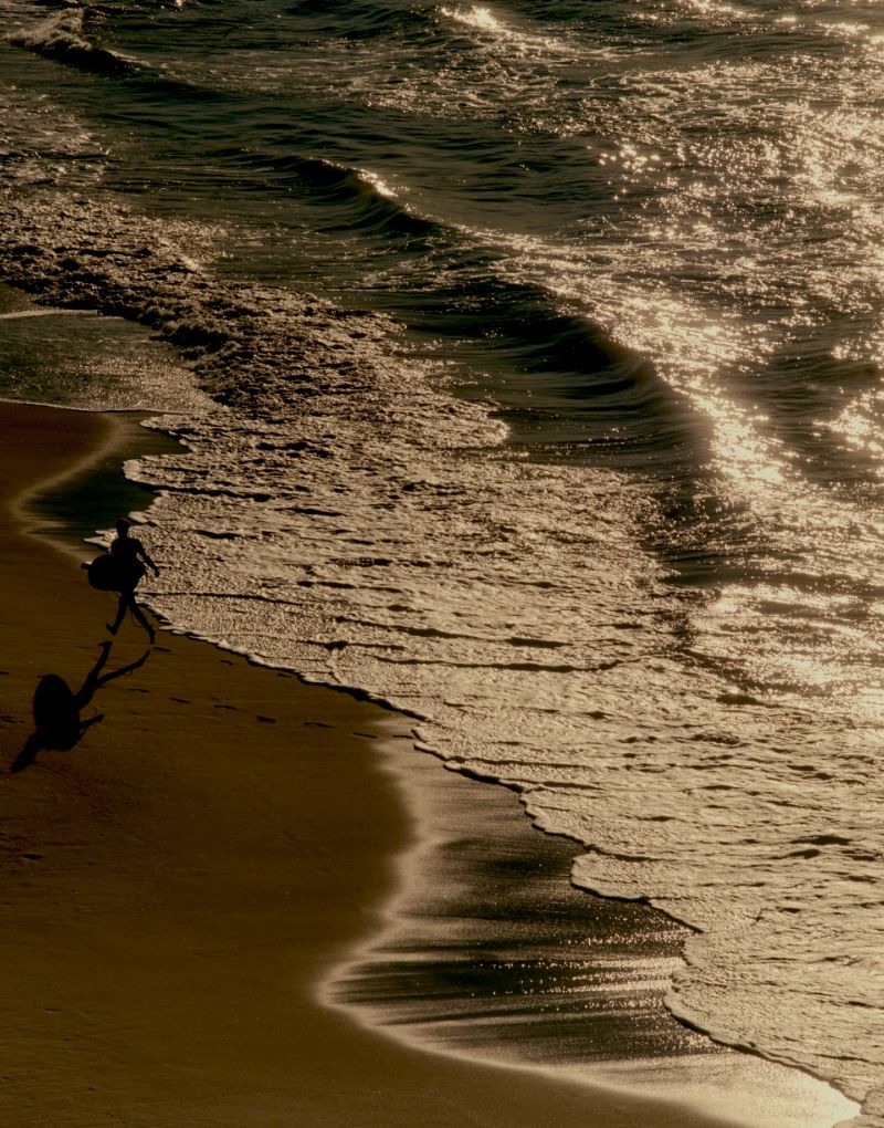 Avra_BondiBeach_FullWidth_Desktop_Beach_800x1020_4